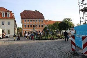 Pflanzenmarkt in Sondershausen gut besucht