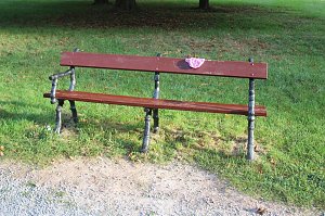Gang durch den Schlosspark