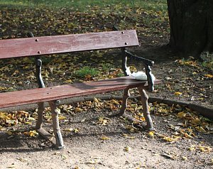 Gang durch den Schlosspark