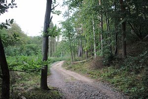 Unternehmer in der Hohen Schrecke