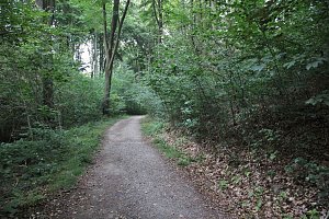 Unternehmer in der Hohen Schrecke