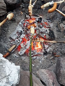 Sollen wir oder sollen wir nicht?