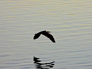 Peter Blei unterwegs am Stausee Kelbra
