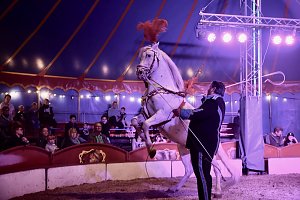 Circus Atlantik am Scheunenhof