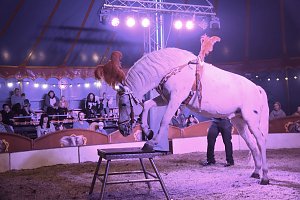 Circus Atlantik am Scheunenhof