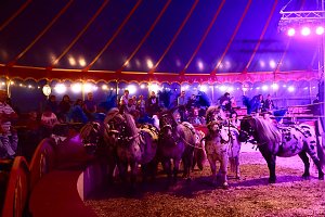 Circus Atlantik am Scheunenhof