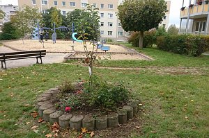 Ein Apfelbaum für den Spielplatz