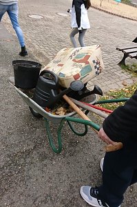 Ein Apfelbaum für den Spielplatz