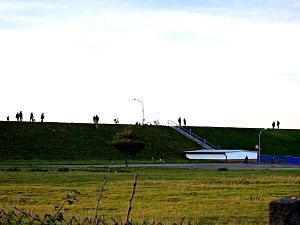 Gro&szlig;er Kranichtag in Kelbra