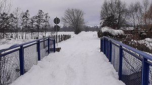 Winterzauber in der Goldenen Aue