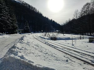Im Brandesbachtal