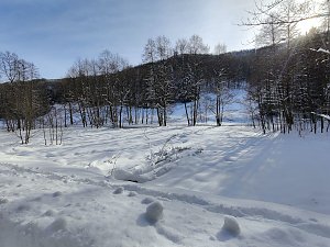 Im Brandesbachtal