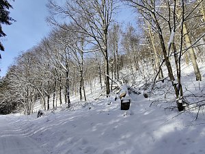 Im Brandesbachtal