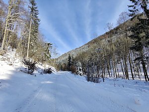 Im Brandesbachtal