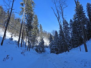 Im Brandesbachtal