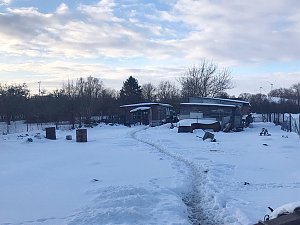 Schlechte Tierhaltung in Greu&szlig;en