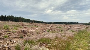 Eindr&uuml;cke aus dem Oberharz zwischen Trautenstein und Sophienhof
