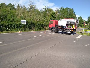 Alkoholfahrt endete in der Hecke