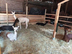 Zu Besuch bei Wilma und Co.