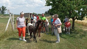 Zu Besuch bei Wilma und Co.