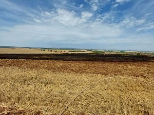 Flächenbrand bei Trebra