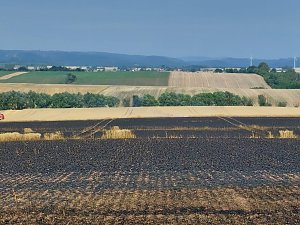 Flächenbrand bei Trebra
