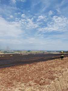 Flächenbrand bei Trebra