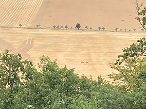 Entstehung des Bodenbildes in Bad Frankenhausen