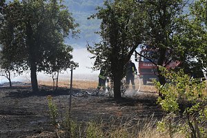 Fl&auml;chenbrand zwischen Gro&szlig;- und Kleinfurra