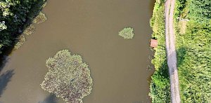Die Wunder der Natur eingefangen von der Kamera