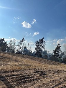 Brand eines Feldes bei Reinsdrof