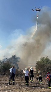 Brand eines Feldes bei Reinsdrof