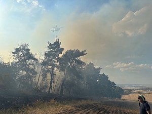 Brand eines Feldes bei Reinsdrof