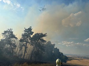 Brand eines Feldes bei Reinsdrof