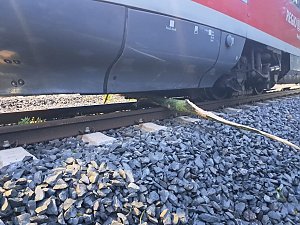 Bahn kollidiert mit Ästen
