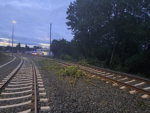 Bahn kollidiert mit Ästen