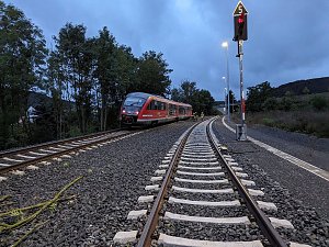 Bahn kollidiert mit Ästen