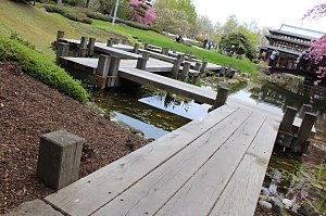 Ein Besuch in der Rosenstadt Bad Langensalza lohnt sich
