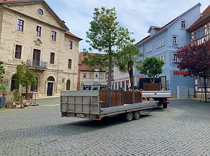 Impressionen aus der Rosenstadt Bad Langensalza