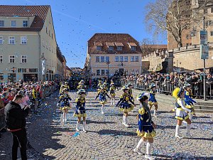 Eindr&uuml;cke vom Rosenmontagsumzug 2025 in Sondershausen
