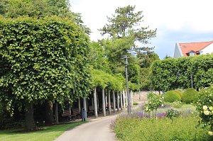 Rosenpracht in Rosengarten in Bad Langensalza