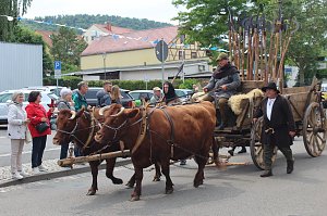 Festumzug zum 900. Geburtstag Sondershausens