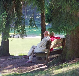 Bild: Erholung im Wald