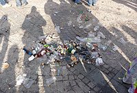 Rosenmontagsm&uuml;ll (Foto: Karl-Heinz Herrmann)