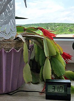 Was f&uuml;r ein Wetter (Foto: Karl-Heinz Herrmann)