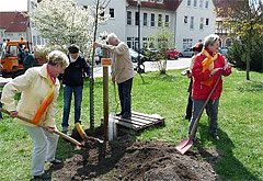 kn in K&uuml;rze (Foto: Karl-Heinz Herrmann)
