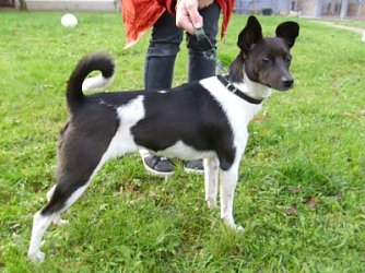 Elisa (Foto: C. Knust)