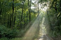 Naturf&uuml;hrung: (Foto: Thomas Stephan )