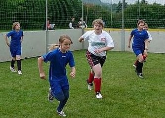 Info-Abend des DFB (Foto: Karl-Heinz Herrmann)