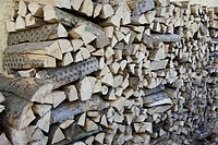 Holzmarkt Hohe Schrecke (Foto: Thomas Stephan)